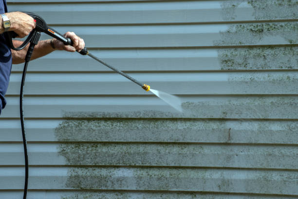 Best Roof Washing  in Lakeside, FL